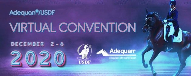 USDF Virtual Convention